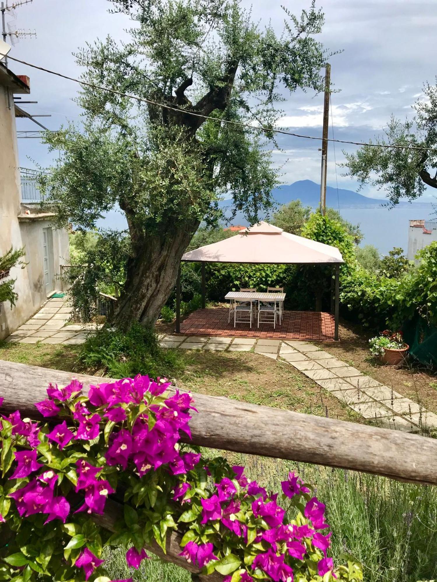 Hotel Sorrento Garden Extérieur photo