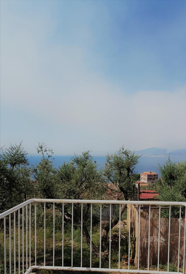 Hotel Sorrento Garden Extérieur photo