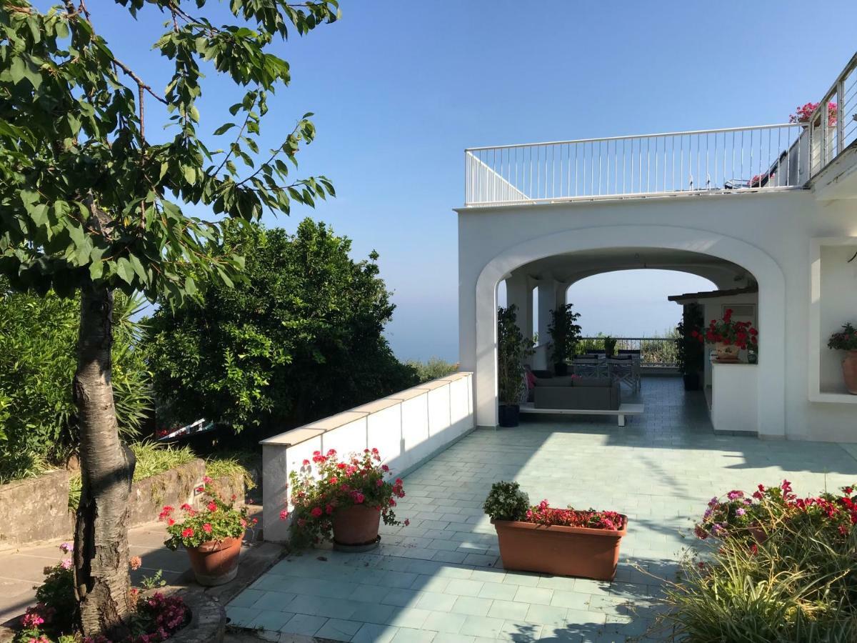 Hotel Sorrento Garden Extérieur photo