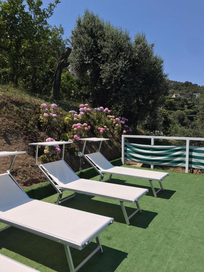 Hotel Sorrento Garden Extérieur photo